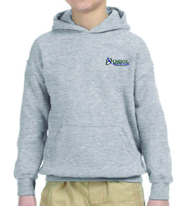 Youth Hoodie