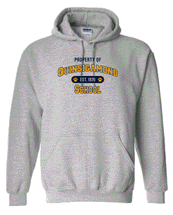 Quinsigamond School Hoodie - Gray