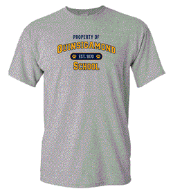 Quinsigamond School T Shirt - SPORTS GRAY